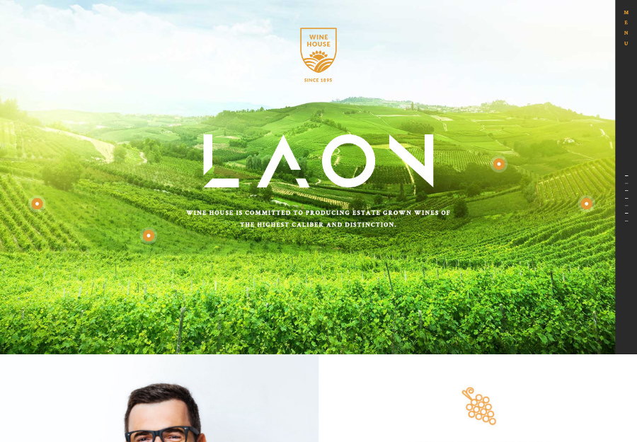 Laon | Wine House, Vineyard & Liquor WordPress Theme + Shop