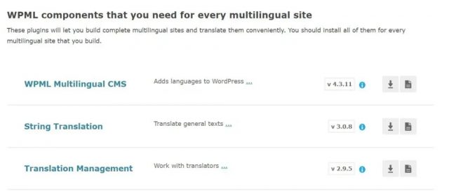 Плагин WPML Translation Management