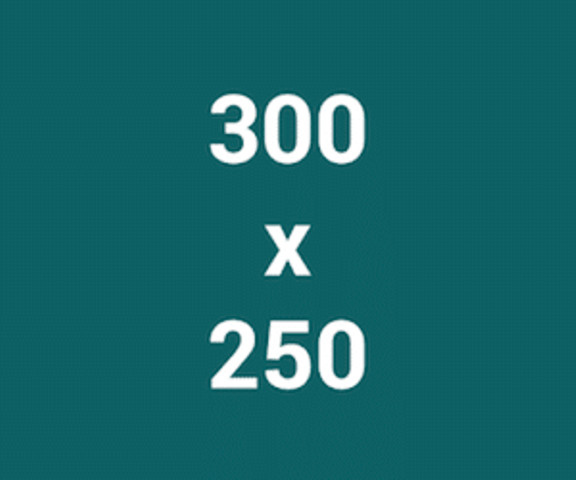 Середній прямокутник – 300 х 250