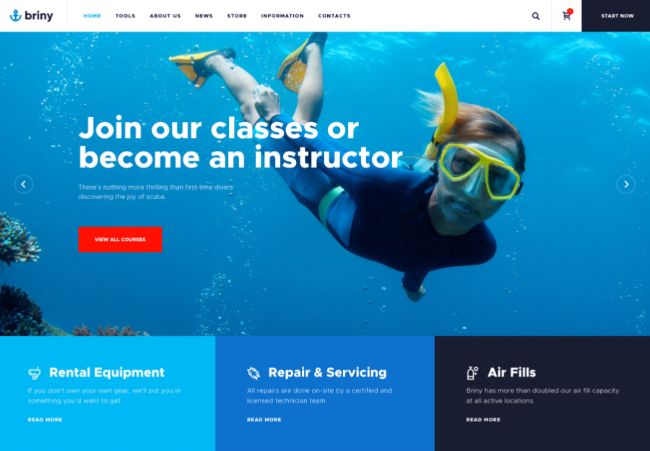 Солоний | Школа підводного плавання та водних видів спорту Тема WordPress + RTL