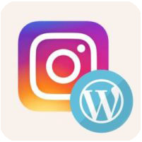 9 найкращих плагінів WordPress для Instagram 2021 року