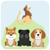 Кращі теми WordPress для сайту про тварин