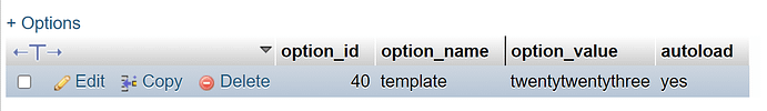 edit option value