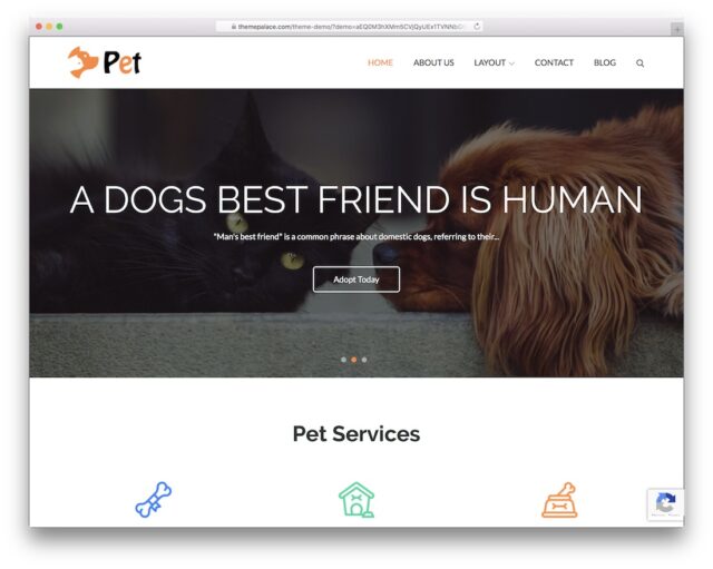 pet free wordpress