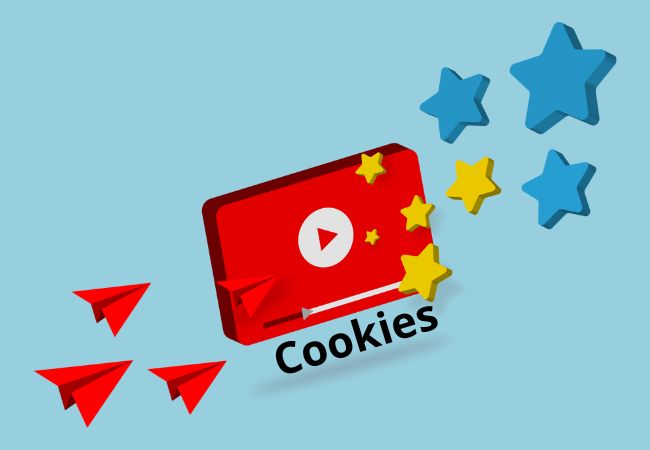 Cookies Youtube WordPress