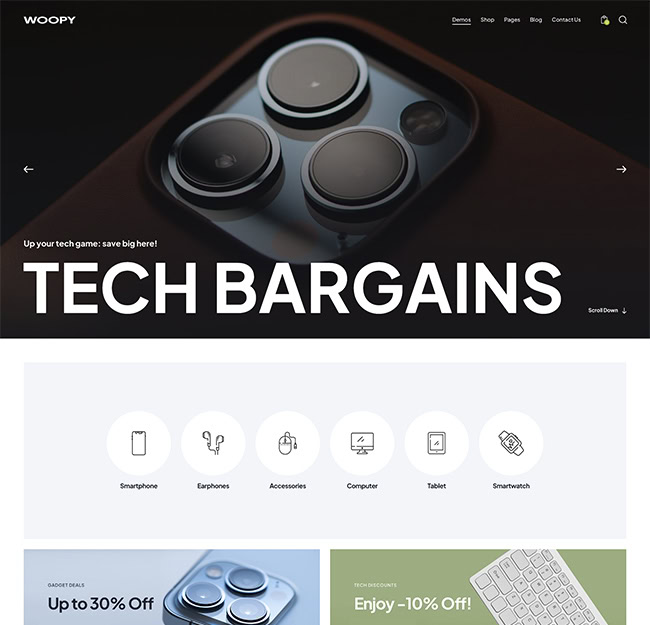 techstore woopy