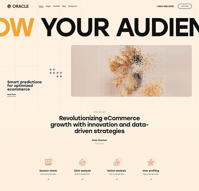 oracle user analysis