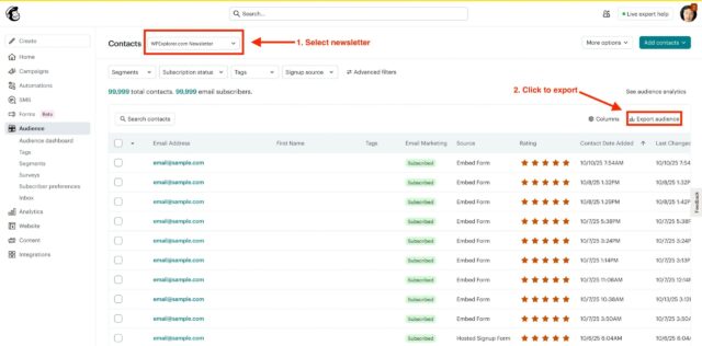 mailchimp export audience