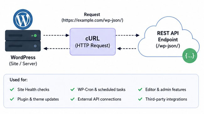 REST API