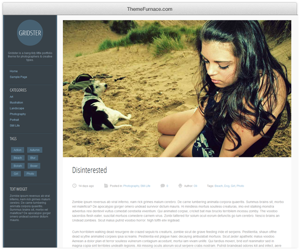 Gridster Lite — бесплатная тема WordPress для сайта портфолио