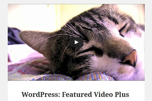 27 найкращих плагінів для відеоплеєра на WordPress