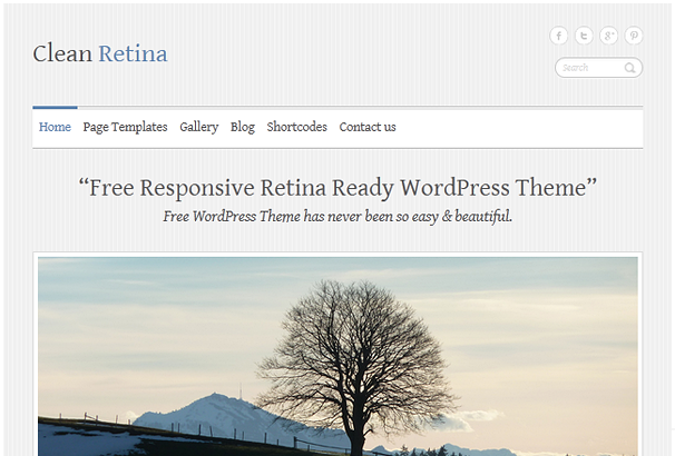 Включаем поддержку для Retina экранов с помощью бесплатных тем и плагинов WordPress