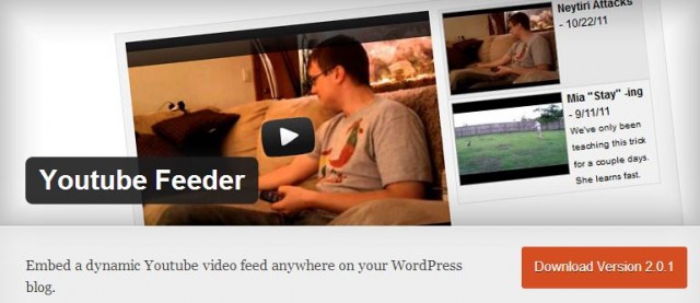 8 відмінних плагінів WordPress для роботи з YouTube