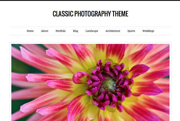 50 стильних та безкоштовних тем WordPress для фотографа чи дизайнера на 2015