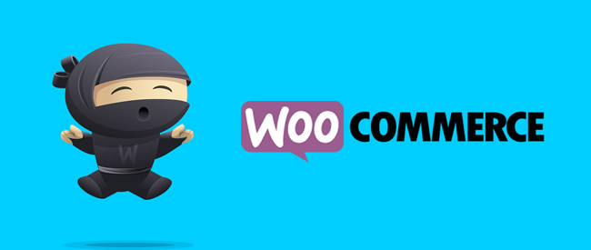 85 лучших бесплатных WordPress плагинов для интернет магазина на WooCommerce