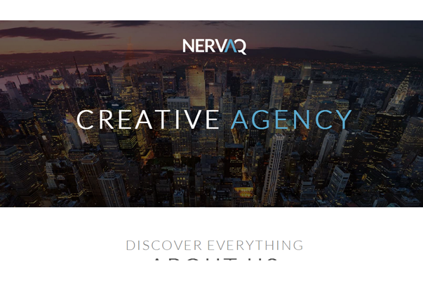 NERVAQ 35 бесплатных и платных тем WordPress для одностраничных сайтов-визиток