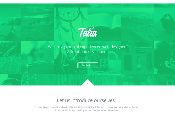 TALIA 35 бесплатных и платных тем WordPress для одностраничных сайтов-визиток