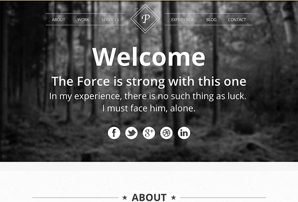 VIEWPOINT 35 бесплатных и платных тем WordPress для одностраничных сайтов-визиток