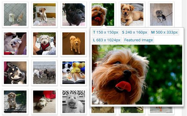 Пошук та вставка безкоштовних картинок у 3 кліки за допомогою плагіна WP Inject