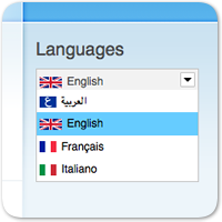 Как создать несколько языковых версий сайта на WordPress