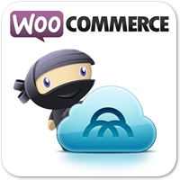 24 полезных плагина WooCommerce для вашего интернет-магазина