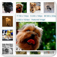 Пошук та вставка безкоштовних картинок у 3 кліки за допомогою плагіна WP Inject